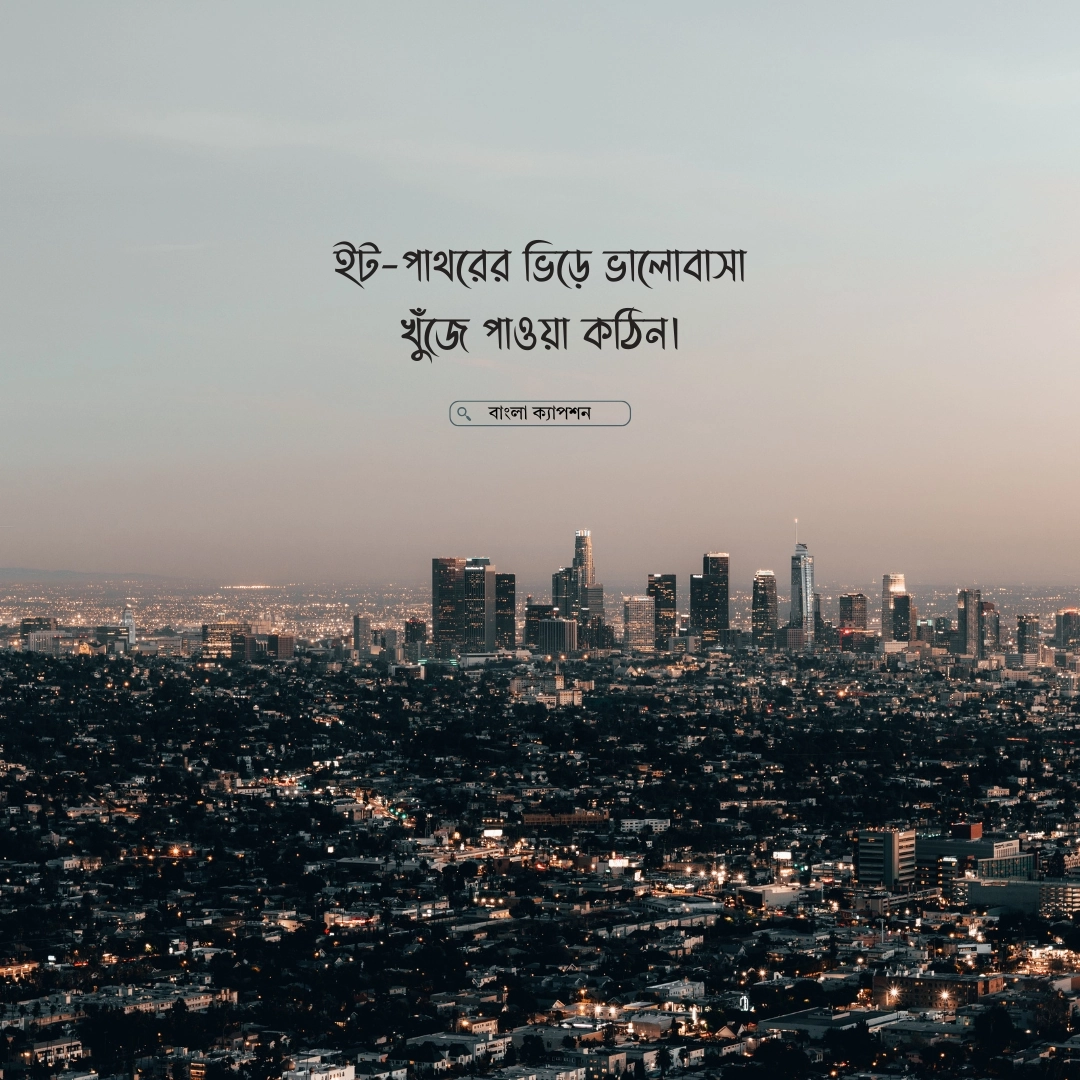 ইট-পাথরের শহর নিয়ে ক্যাপশন 3