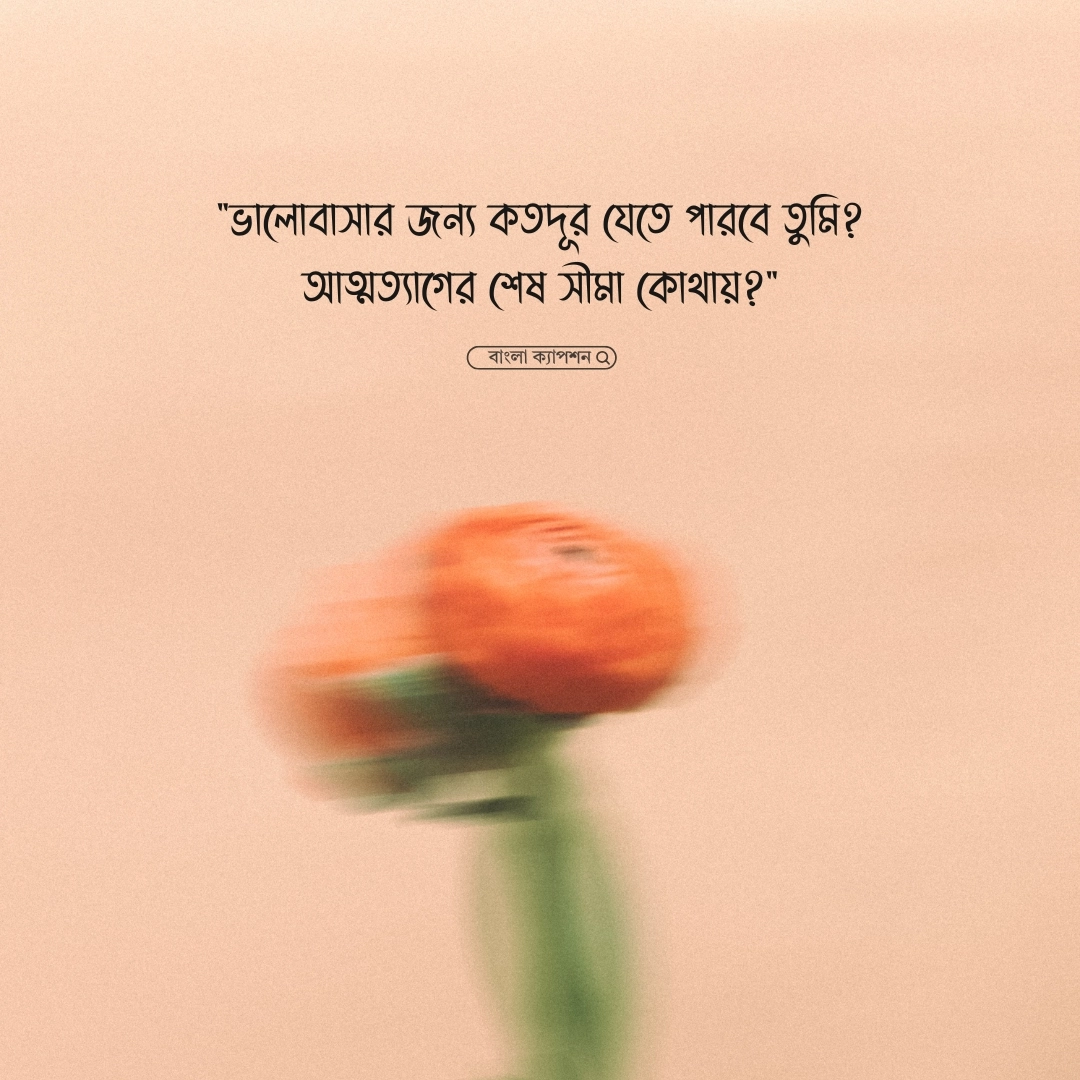 উপন্যাস ক্যাপশন