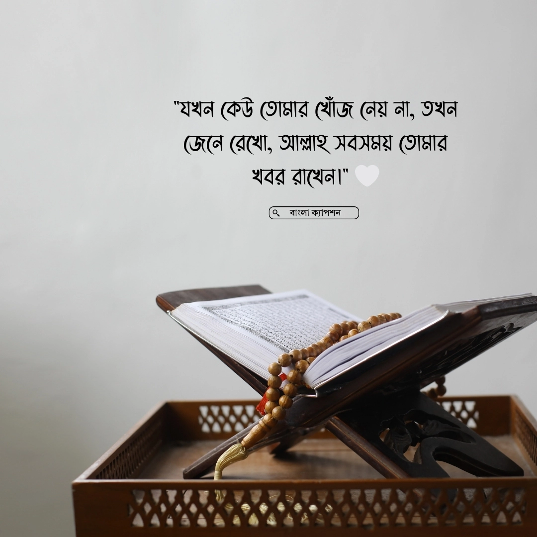 Yigit mushuk pornosini yalaydi