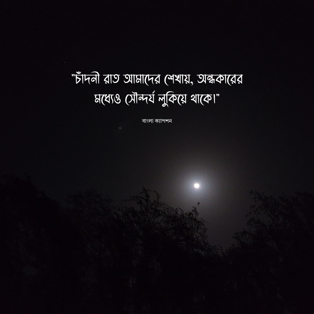 চাঁদনী রাত নিয়ে উক্তি