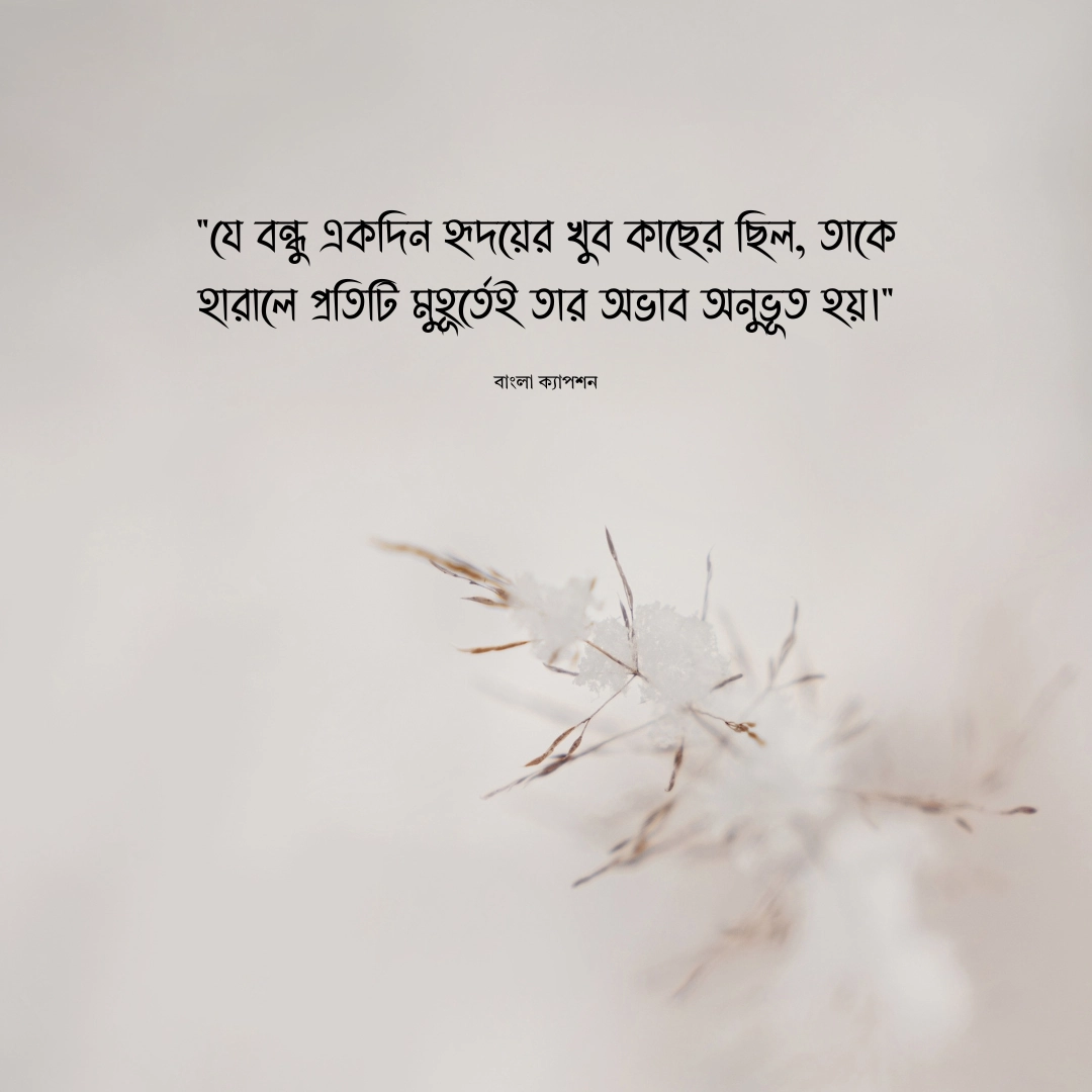 বন্ধুকে মিস করার উক্তি