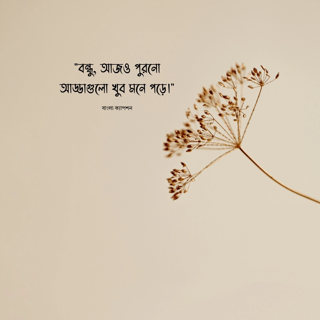 বন্ধুকে মিস করার স্ট্যাটাস