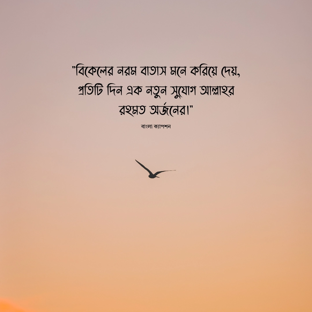 বিকেল নিয়ে ক্যাপশন ইসলামিক 1