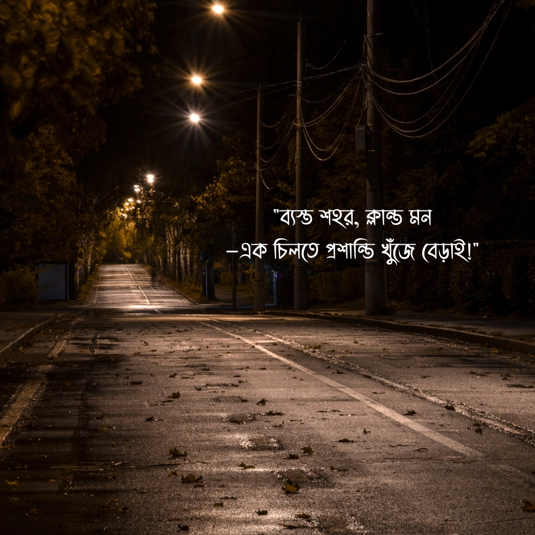 ব্যস্ত শহর নিয়ে স্ট্যাটাস পিক ১