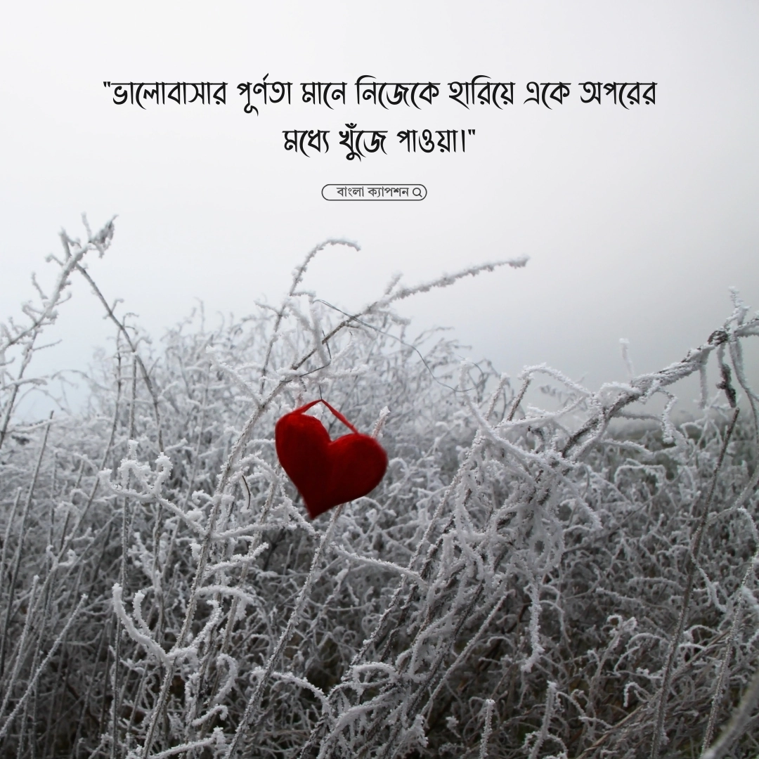 ভালোবাসার পূর্ণতা নিয়ে উক্তি