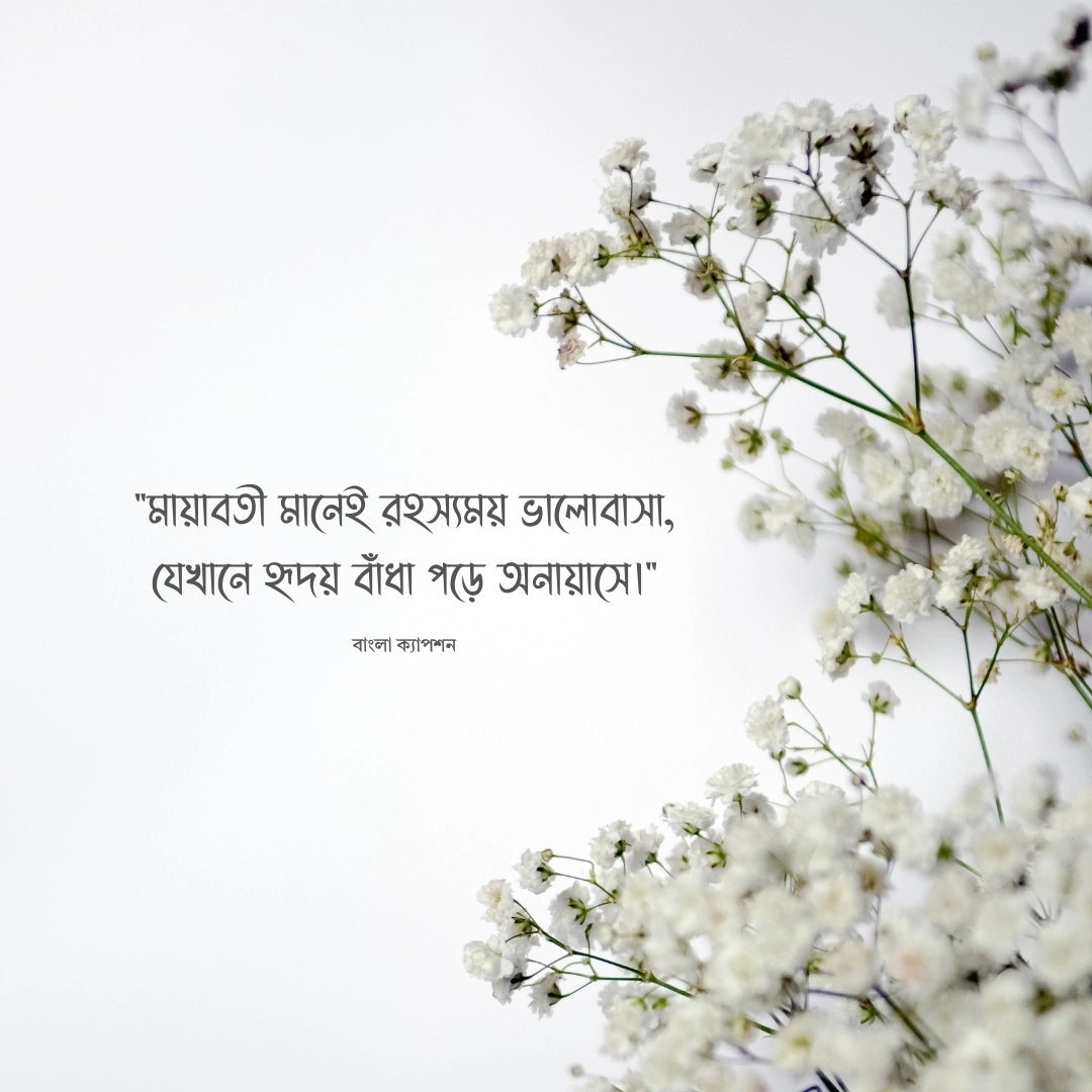 মায়াবতী নিয়ে ক্যাপশন 1