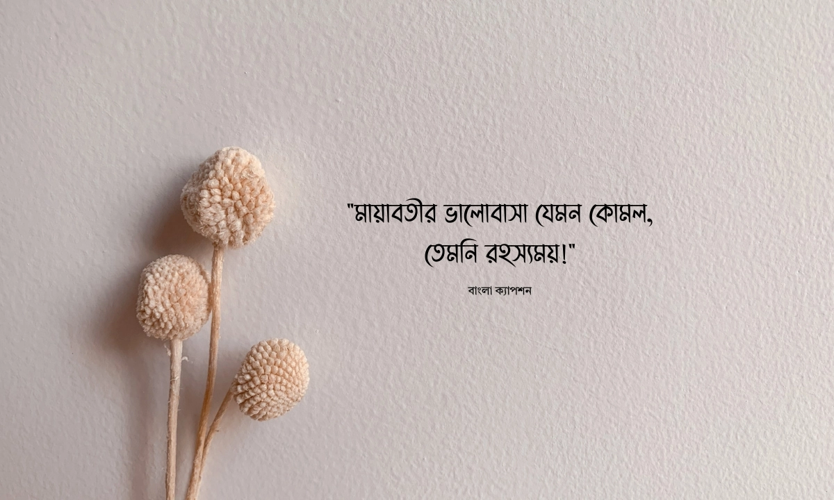 মায়াবতী নিয়ে ক্যাপশন