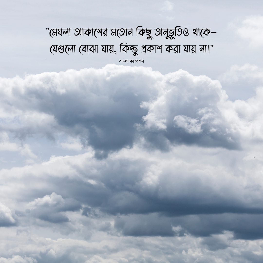 মেঘলা আকাশ নিয়ে উক্তি 1
