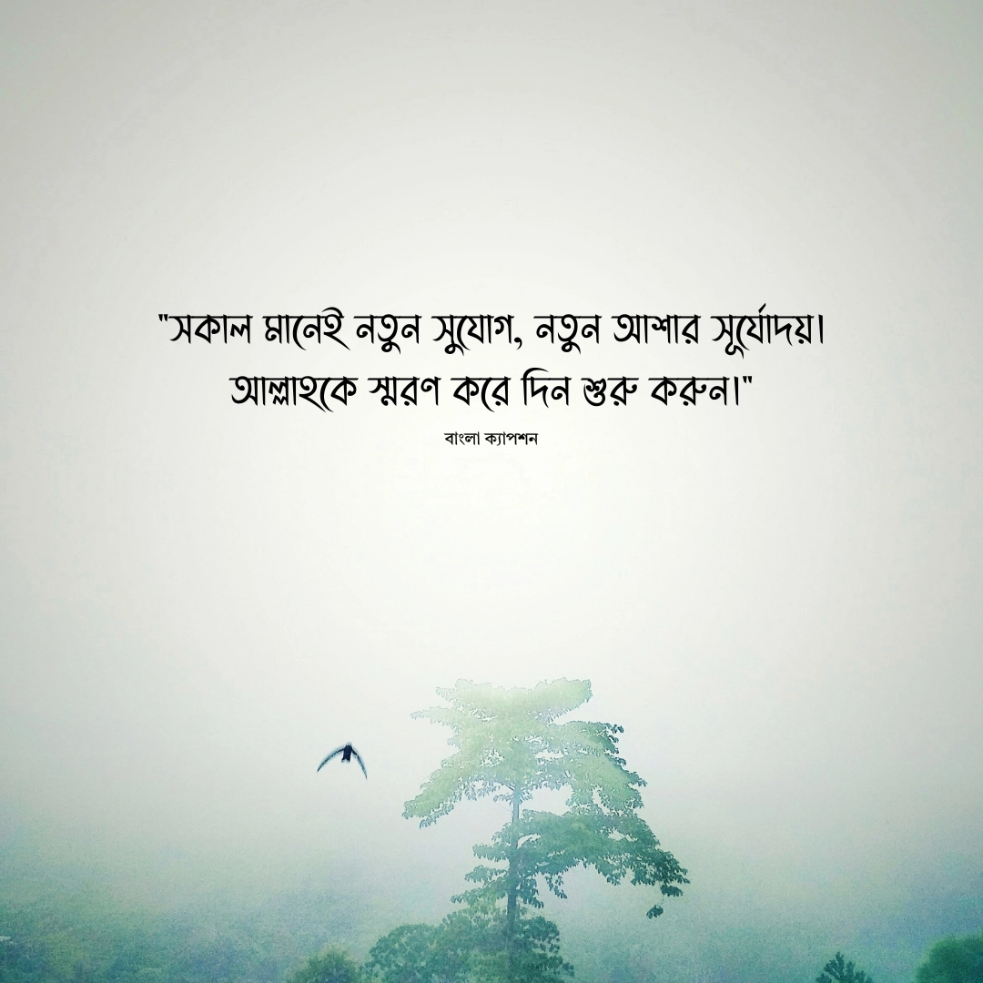 সকাল নিয়ে ইসলামিক উক্তি