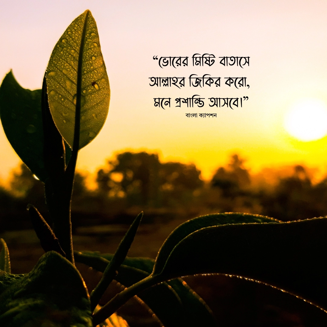 সকাল নিয়ে ইসলামিক স্ট্যাটাস