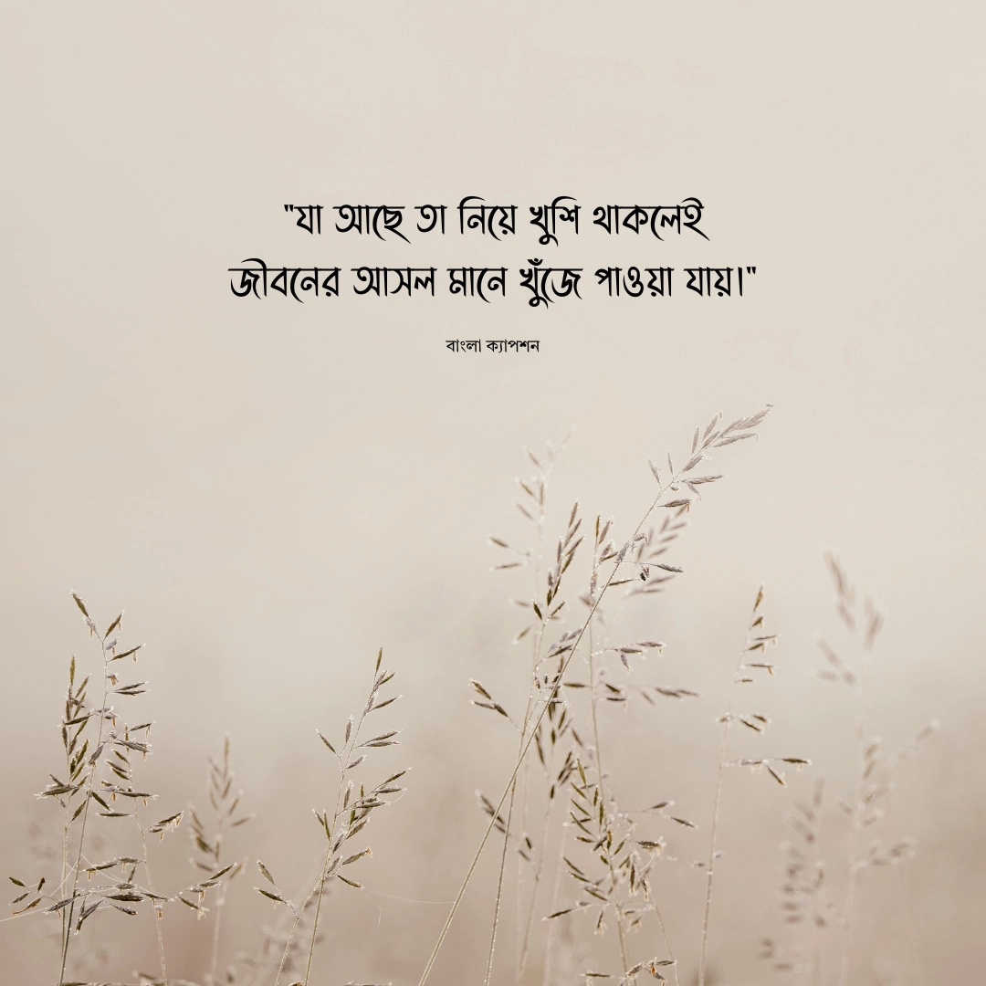 হ্যাপি লাইফ ক্যাপশন 2