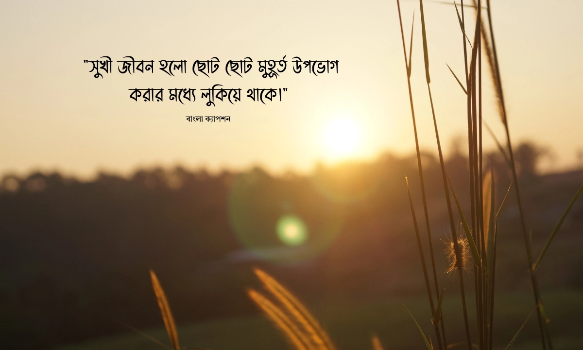 হ্যাপি লাইফ ক্যাপশন