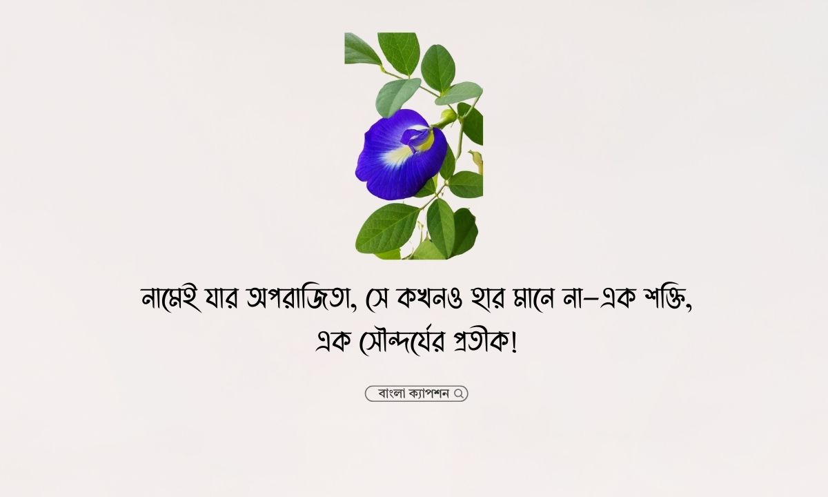 অপরাজিতা ফুল নিয়ে ক্যাপশন