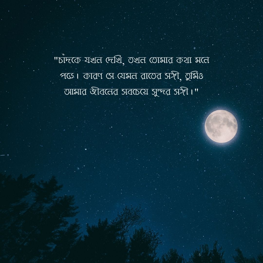 চাঁদ নিয়ে রোমান্টিক ক্যাপশন পিক