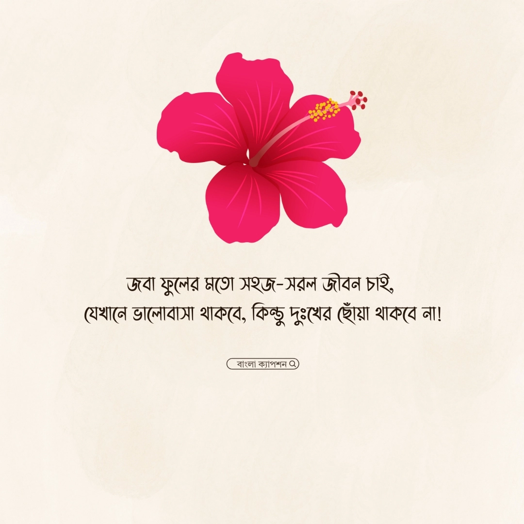 জবা ফুল নিয়ে ক্যাপশন 1