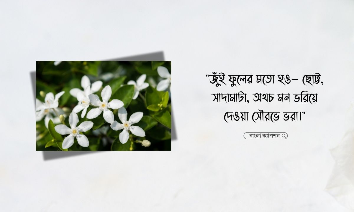 জুঁই ফুল নিয়ে ক্যাপশন
