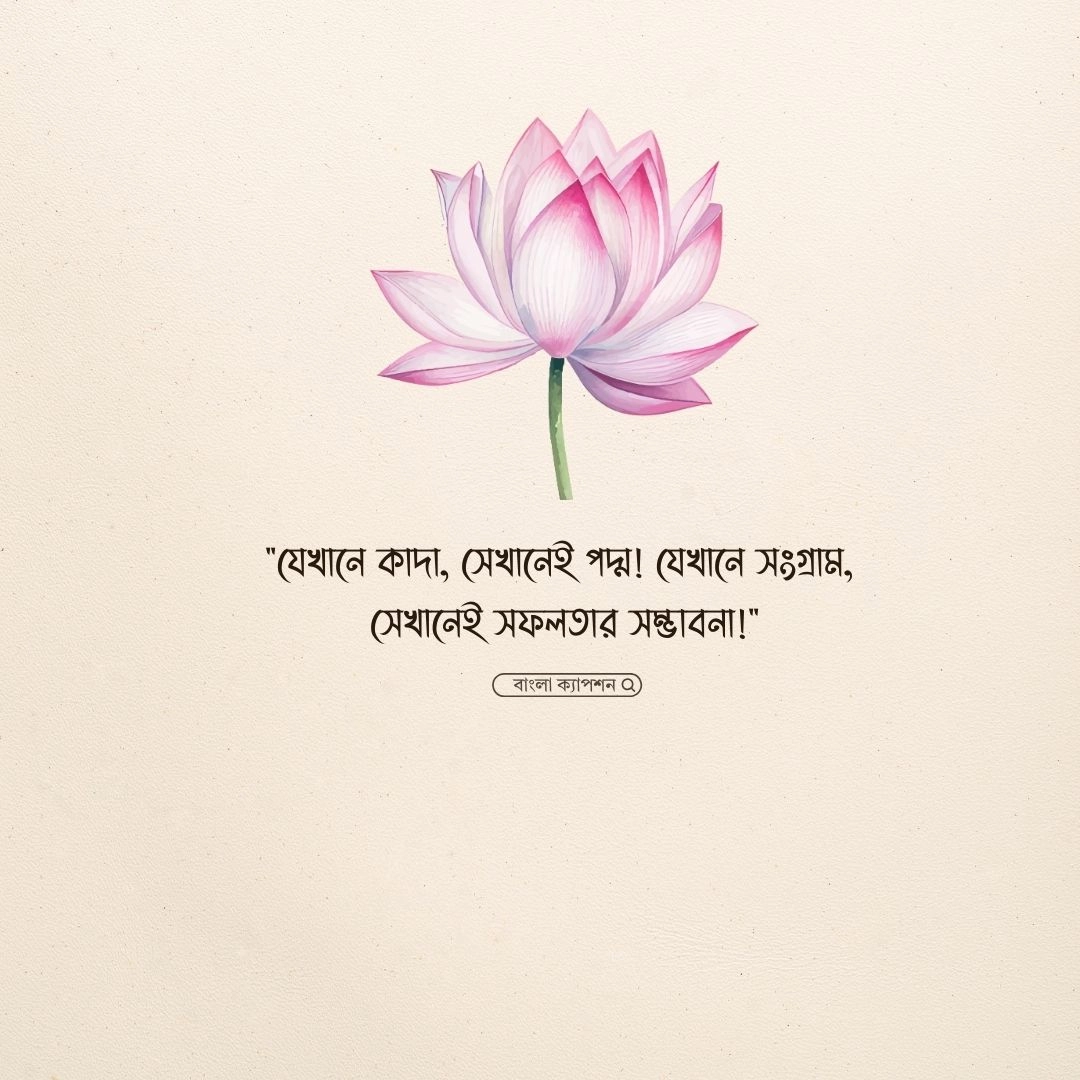 পদ্ম ফুল নিয়ে স্ট্যাটাস