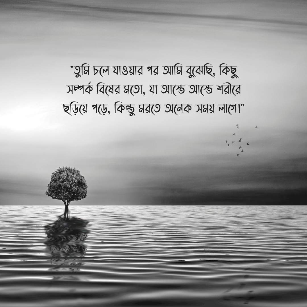 বিচ্ছেদ নিয়ে উক্তি পিক 1