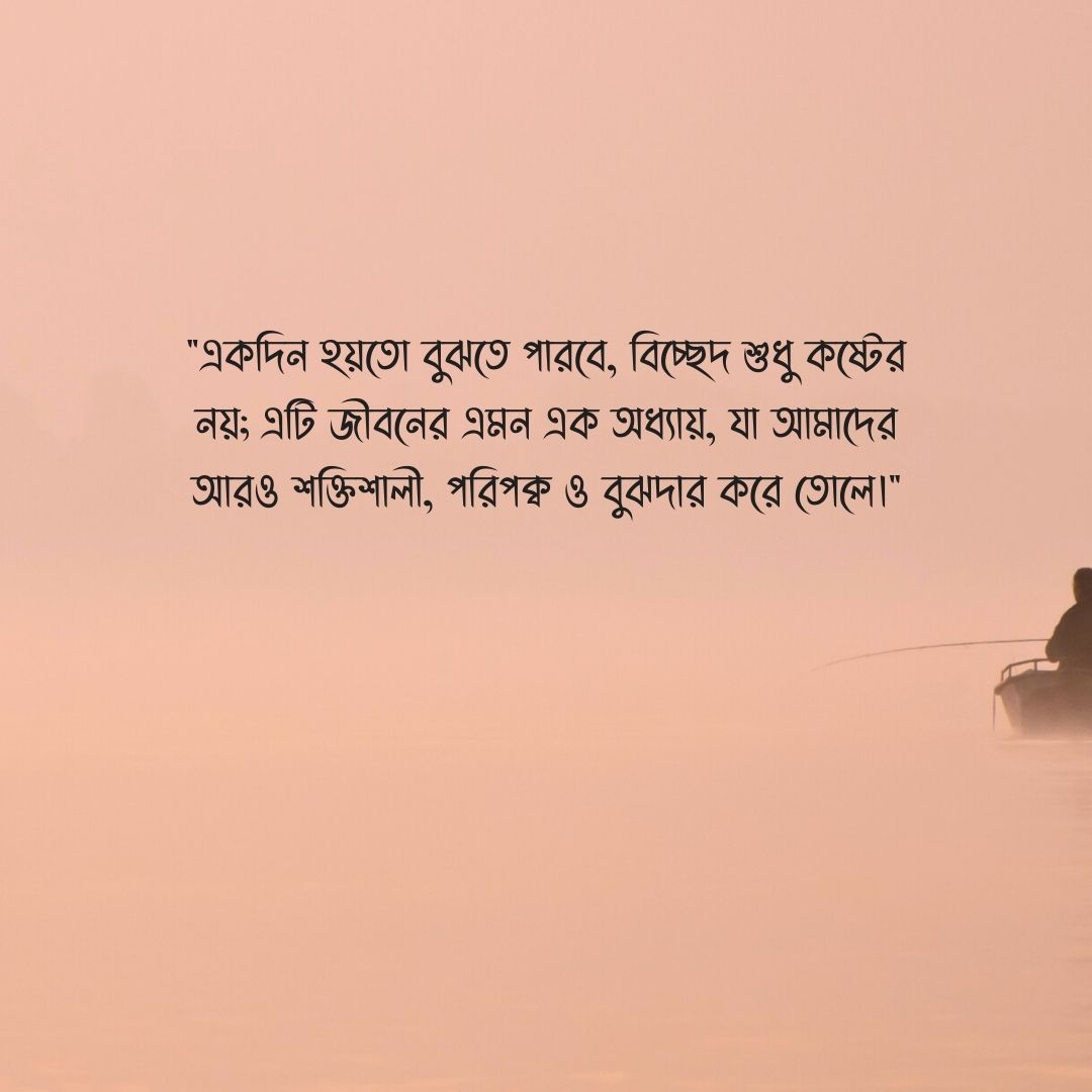 বিচ্ছেদ নিয়ে উক্তি পিক 5