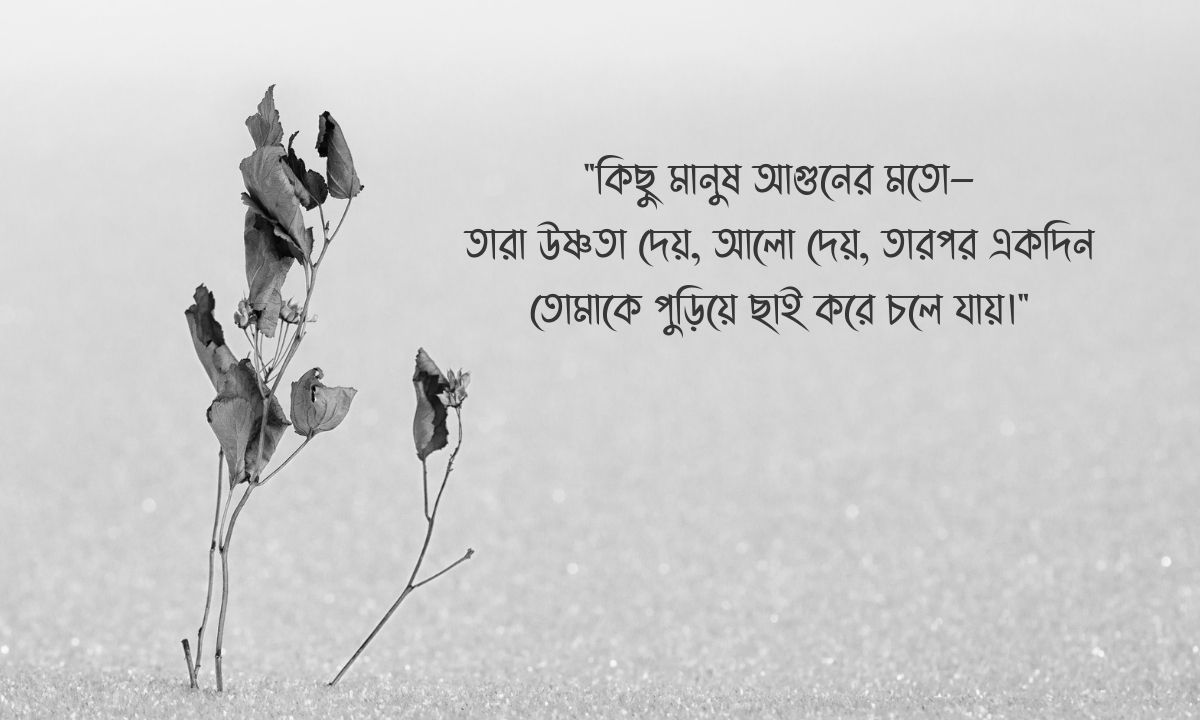 বিচ্ছেদ নিয়ে উক্তি পিক