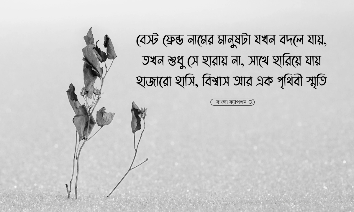 বেস্ট ফ্রেন্ড নিয়ে কষ্টের স্ট্যাটাস