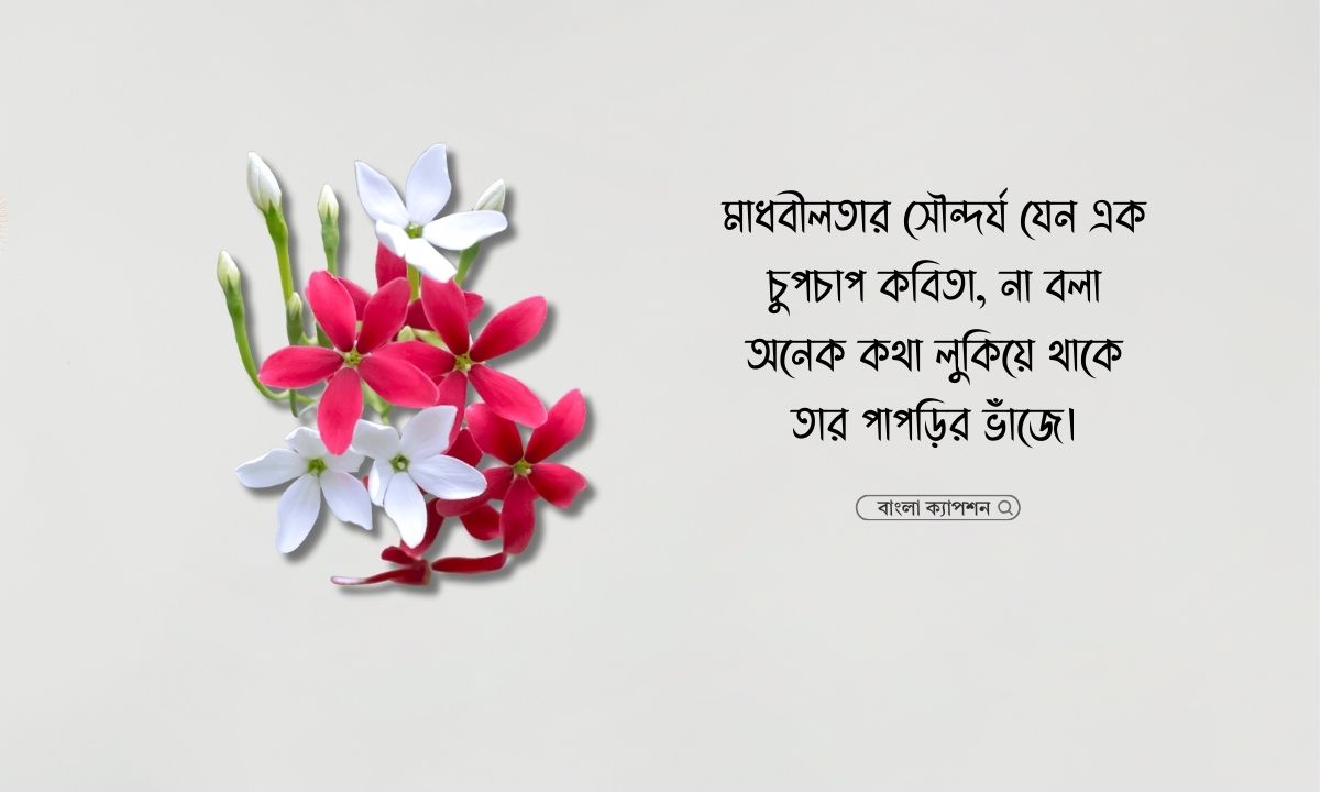 মাধবীলতা ফুল নিয়ে ক্যাপশন