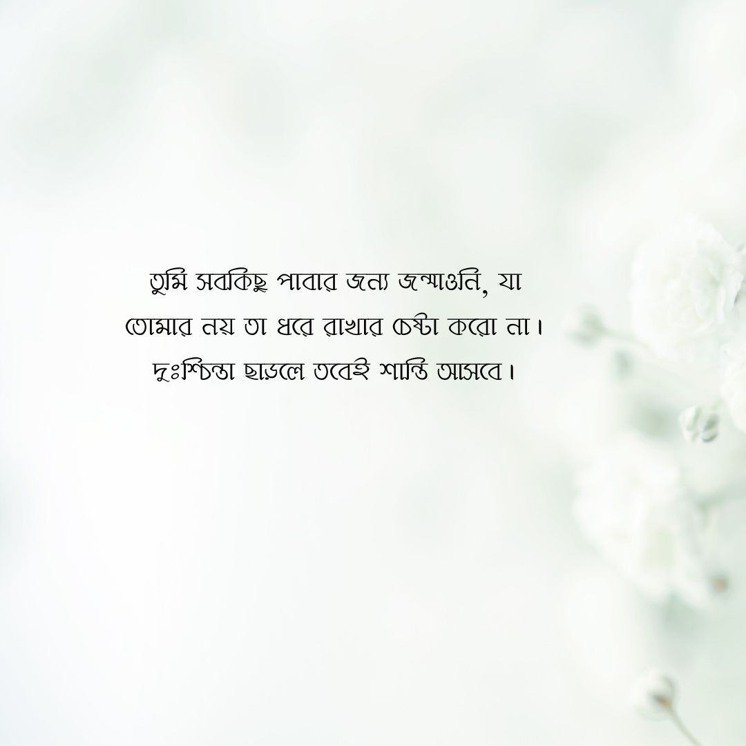 মানসিক শান্তি নিয়ে উক্তি পিক 1