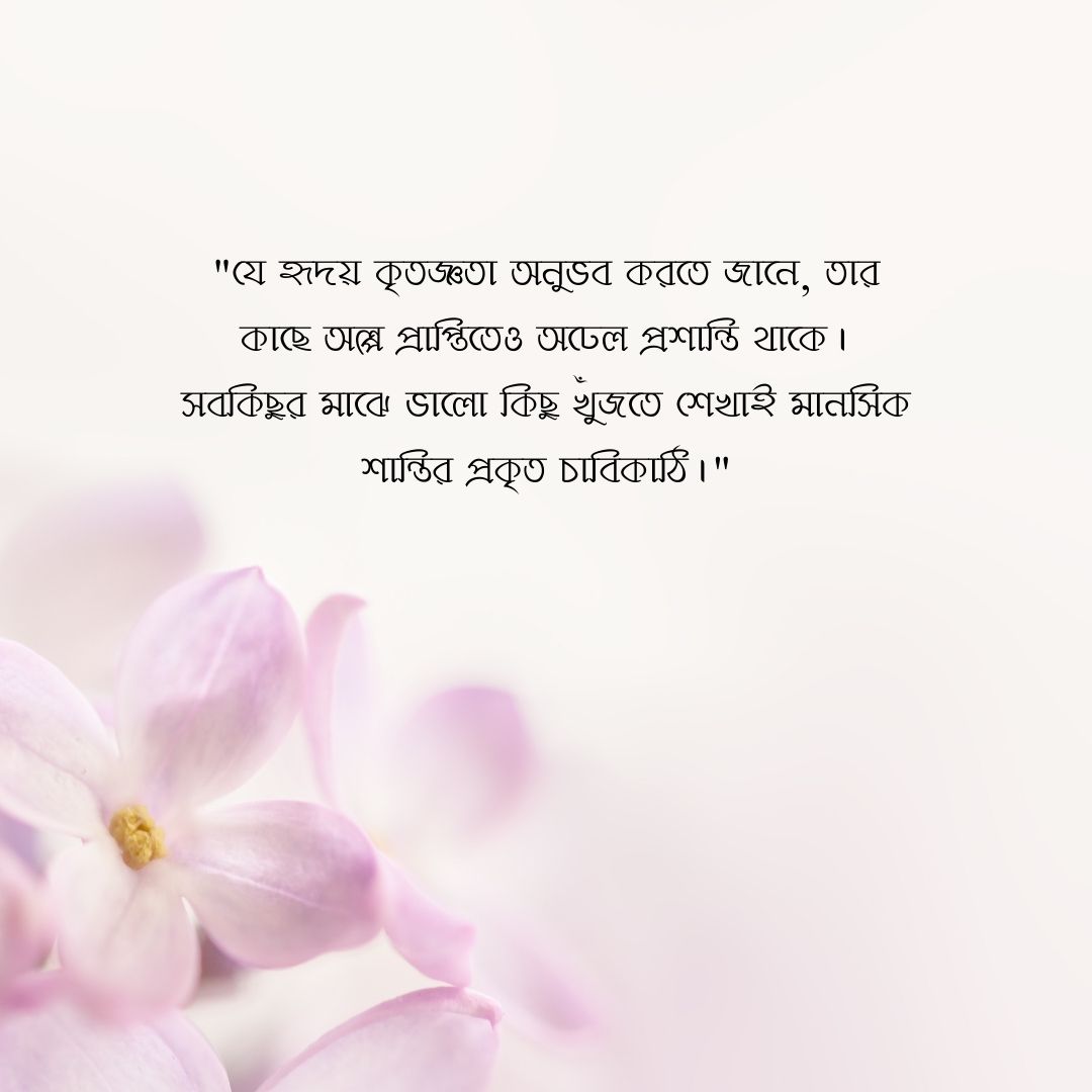 মানসিক শান্তি নিয়ে উক্তি পিক 3