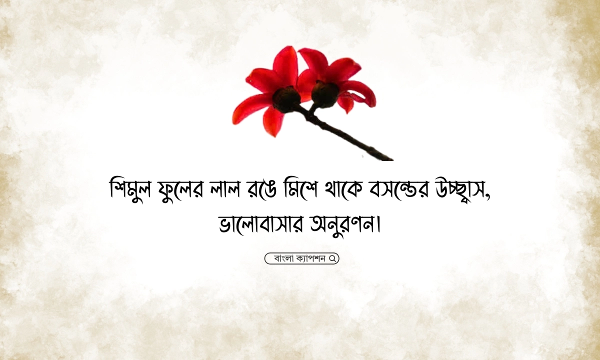 শিমুল ফুল নিয়ে ক্যাপশন