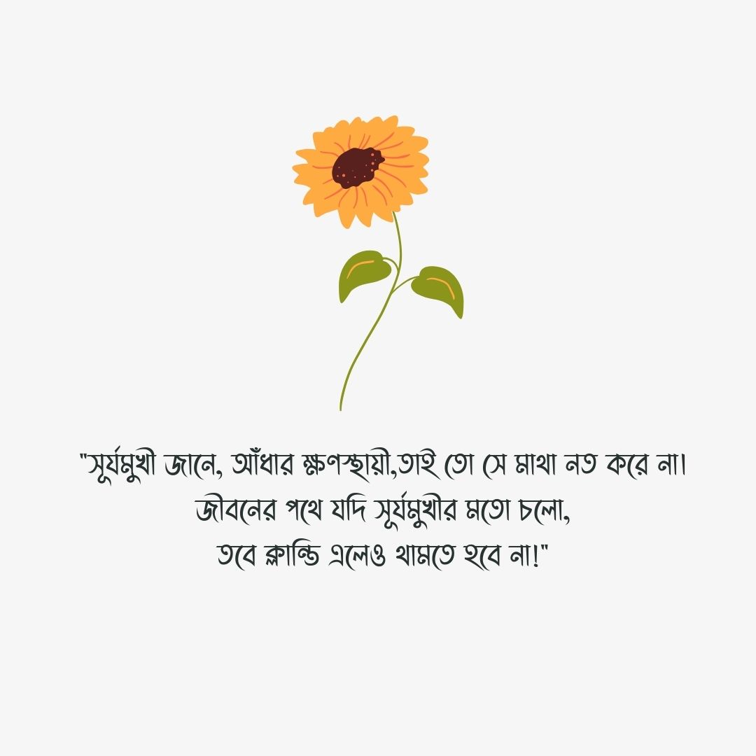সূর্যমুখী ফুল নিয়ে উক্তি পিক