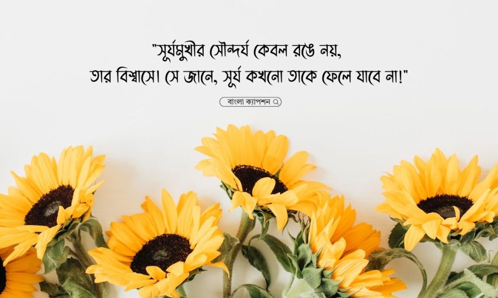 সূর্যমুখী ফুল নিয়ে ক্যাপশন