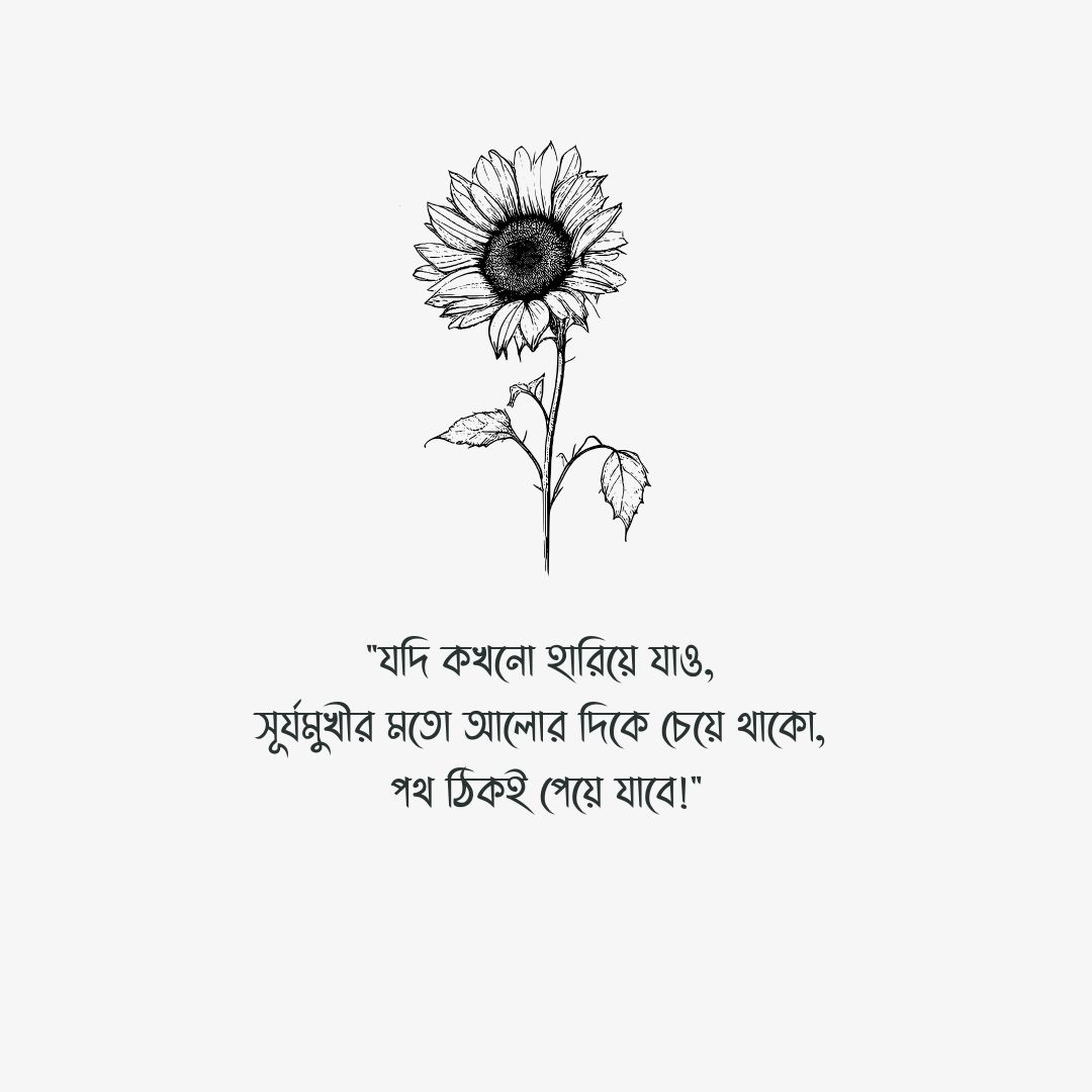 সূর্যমুখী ফুল নিয়ে ক্যাপশন পিক 1
