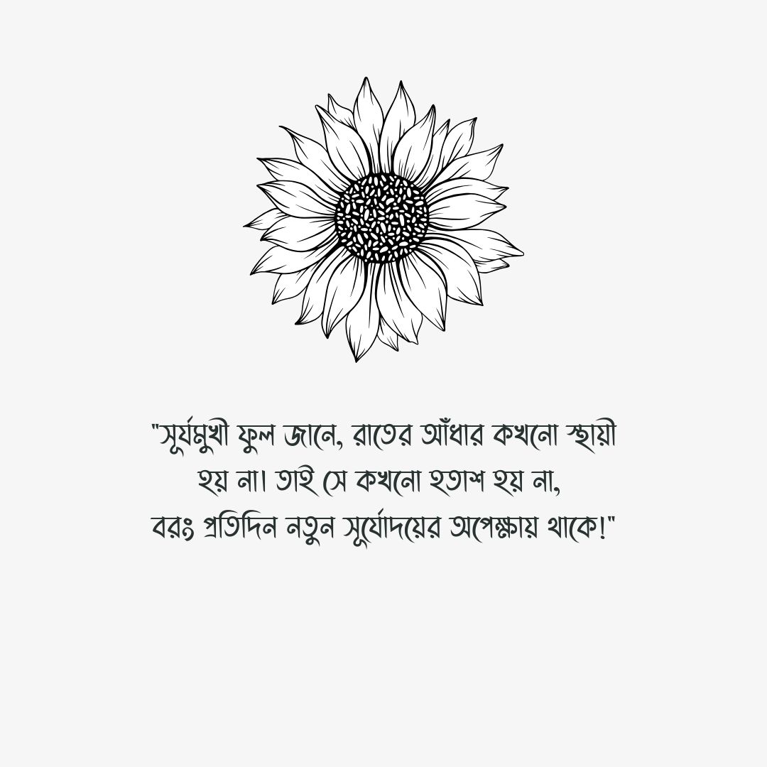 সূর্যমুখী ফুল নিয়ে ক্যাপশন পিক