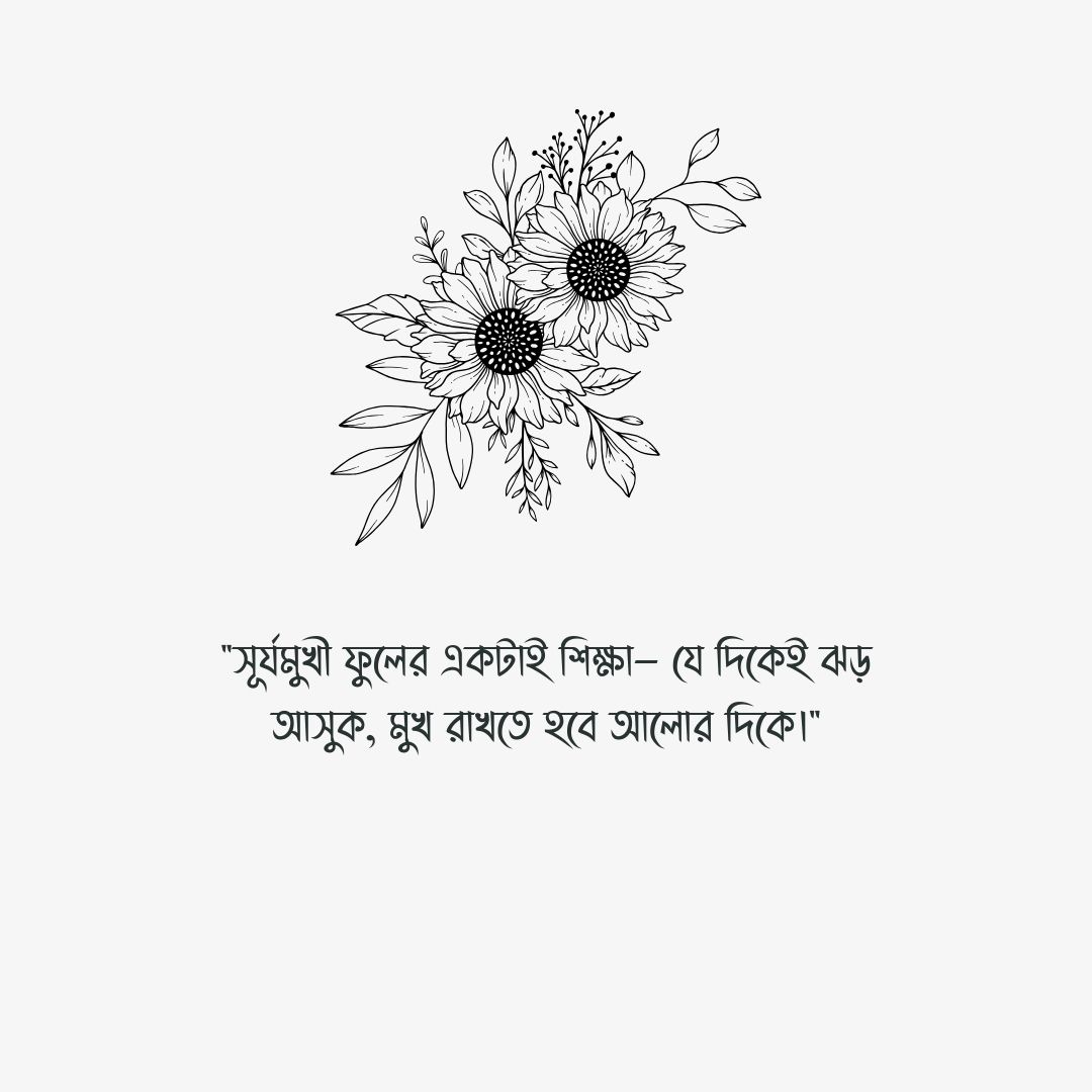 সূর্যমুখী ফুল নিয়ে স্ট্যাটাস পিক