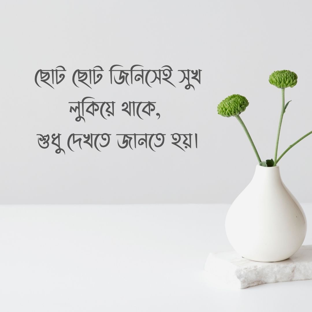 ছোট ছোট জিনিসেই সুখ লুকিয়ে থাকে, শুধু দেখতে জানতে হয়।