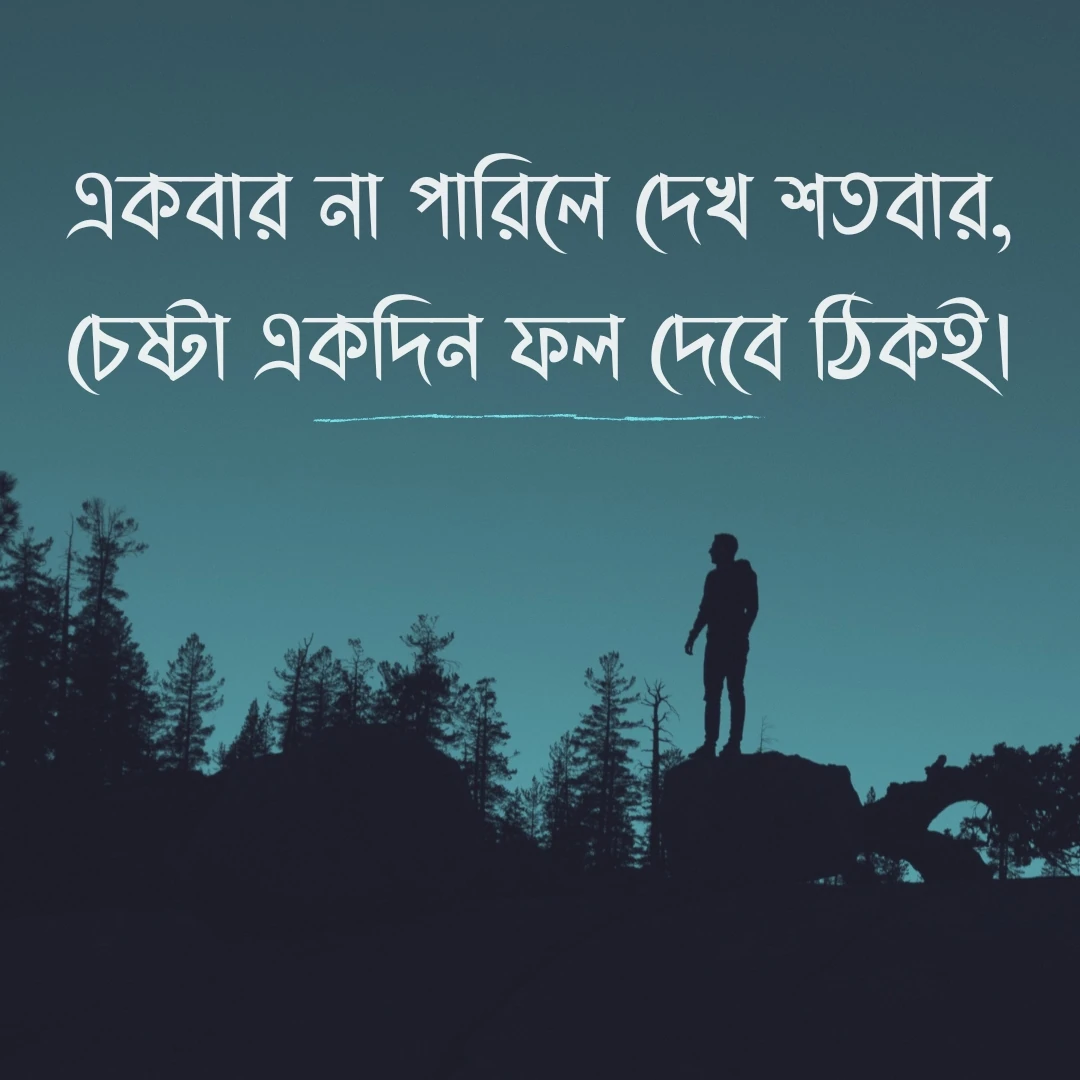 মোটিভেশনাল উক্তি - একবার না পারিলে দেখ শতবার, চেষ্টা একদিন ফল দেবে ঠিকই।