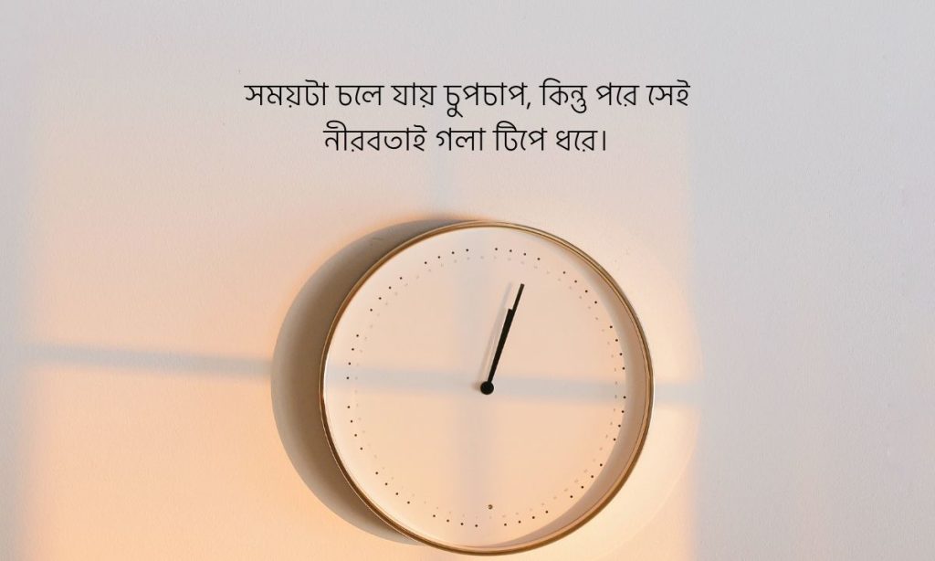 সময় অপচয় নিয়ে উক্তি পিক
