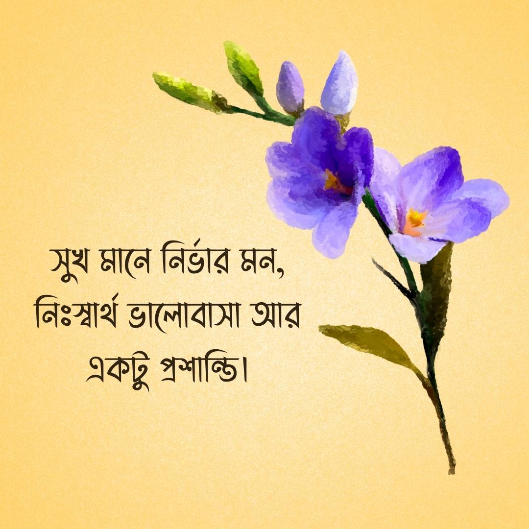 সুখ মানে নির্ভার মন, নিঃস্বার্থ ভালোবাসা আর একটু প্রশান্তি।