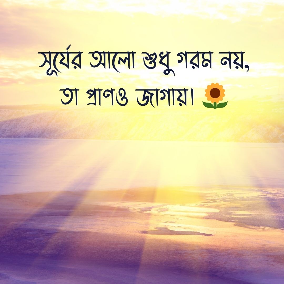 সূর্যের আলো শুধু গরম নয়, তা প্রাণও জাগায়