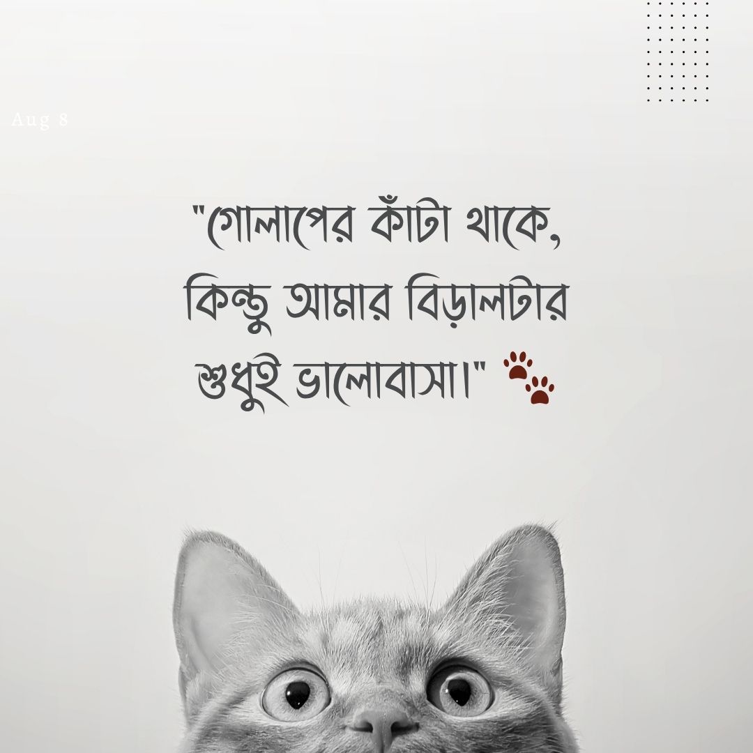 গোলাপের কাঁটা থাকে, কিন্তু আমার বিড়ালটার শুধুই ভালোবাসা।