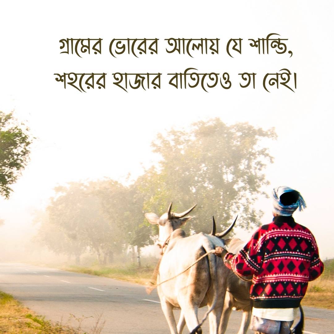 গ্রামের ভোরের আলোয় যে শান্তি, শহরের হাজার বাতিতেও তা নেই