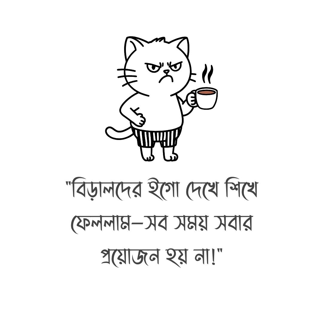 বিড়ালদের ইগো দেখে শিখে ফেললাম—সব সময় সবার প্রয়োজন হয় না!