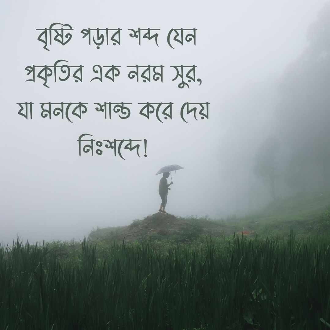 _বৃষ্টি পড়ার শব্দ যেন প্রকৃতির এক নরম সুর, যা মনকে শান্ত করে দেয় নিঃশব্দে!