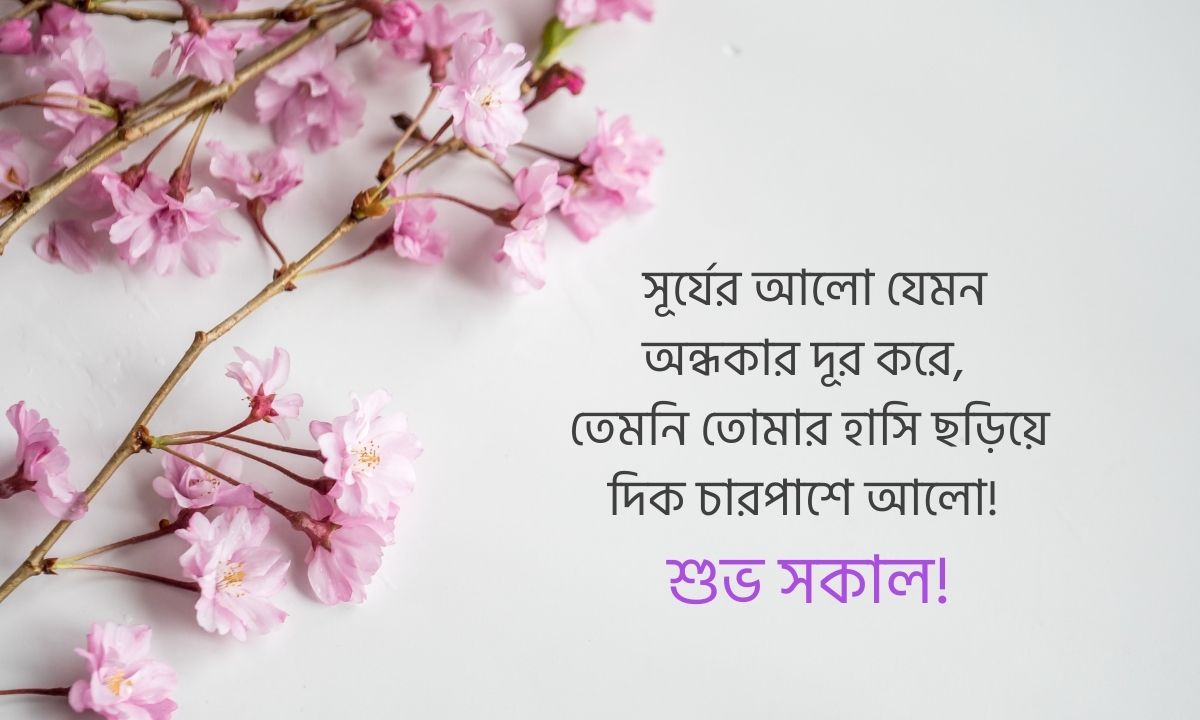 সকালের শুভেচ্ছা জানিয়ে পিকচার