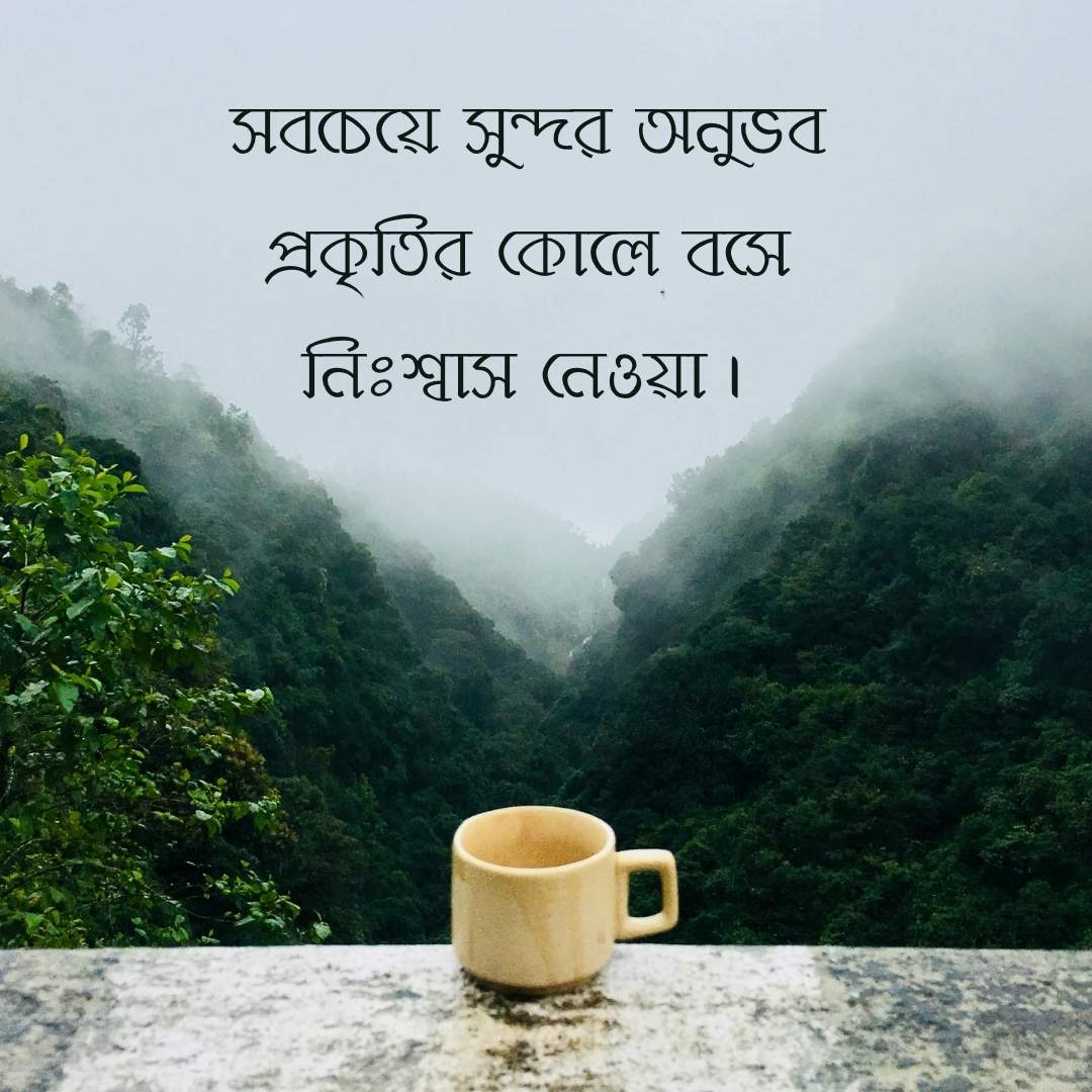 সবচেয়ে সুন্দর অনুভব প্রকৃতির কোলে বসে নিঃশ্বাস নেওয়া।