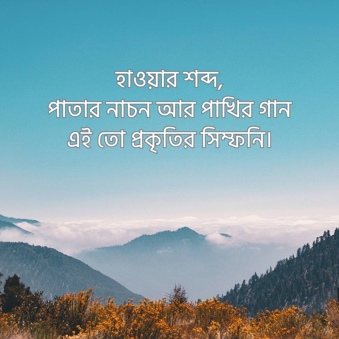 _হাওয়ার শব্দ, পাতার নাচন আর পাখির গান এই তো প্রকৃতির সিম্ফনি।