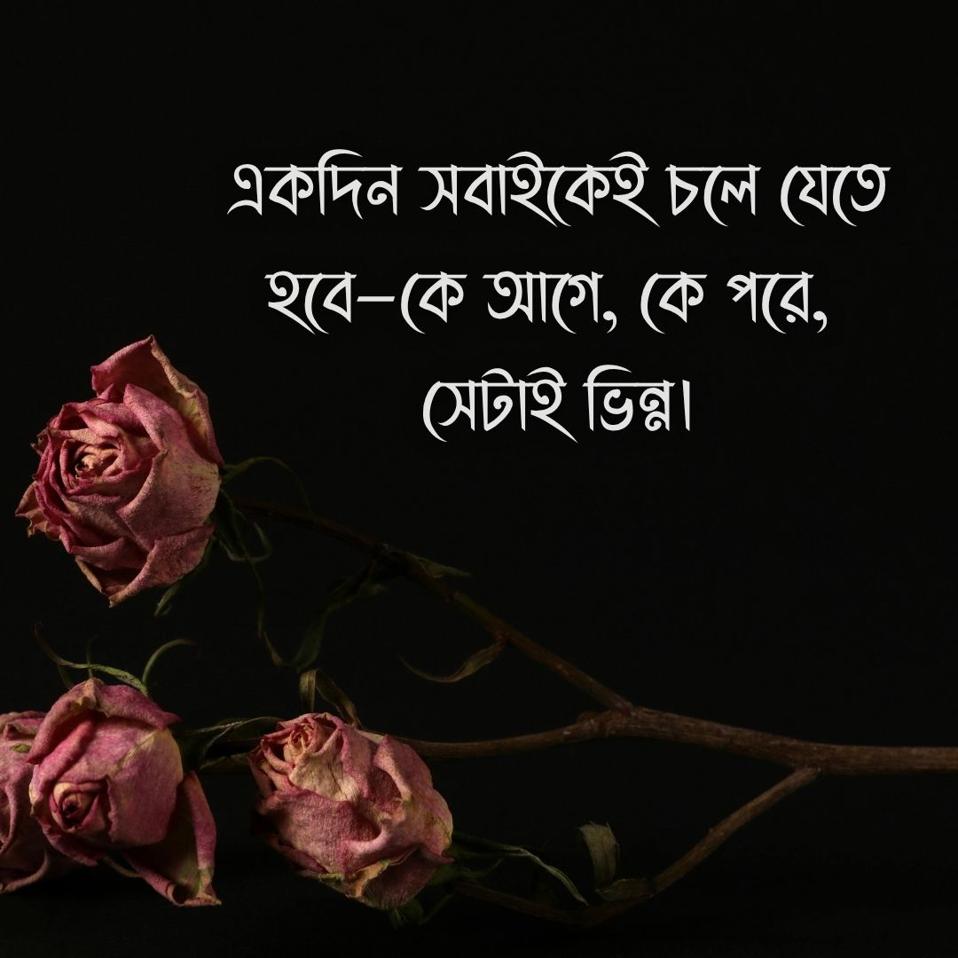 একদিন সবাইকেই চলে যেতে হবে—কে আগে, কে পরে, সেটাই ভিন্ন।