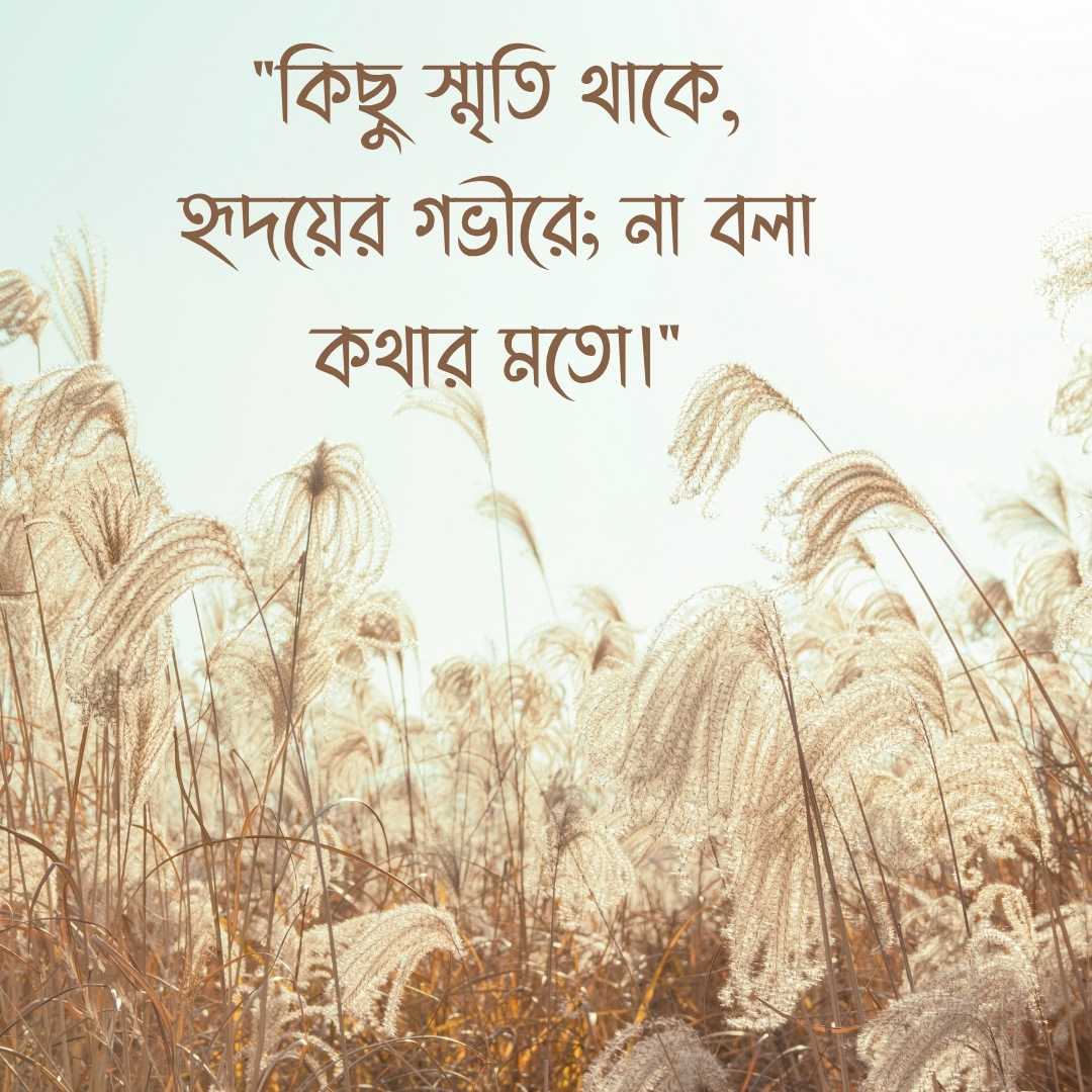 কিছু স্মৃতি থাকে, হৃদয়ের গভীরে; না বলা কথার মতো।