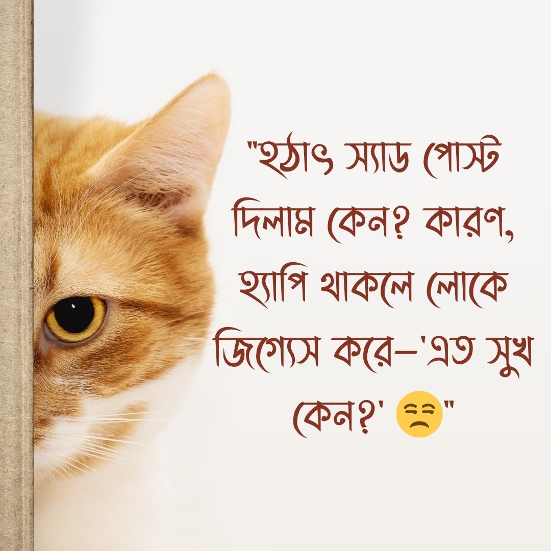 ফানি পোস্ট ছবি