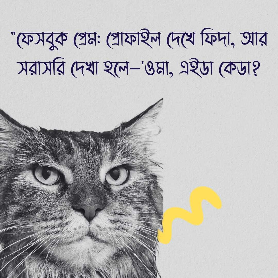 রোমান্টিক ফানি ক্যাপশন ছবি